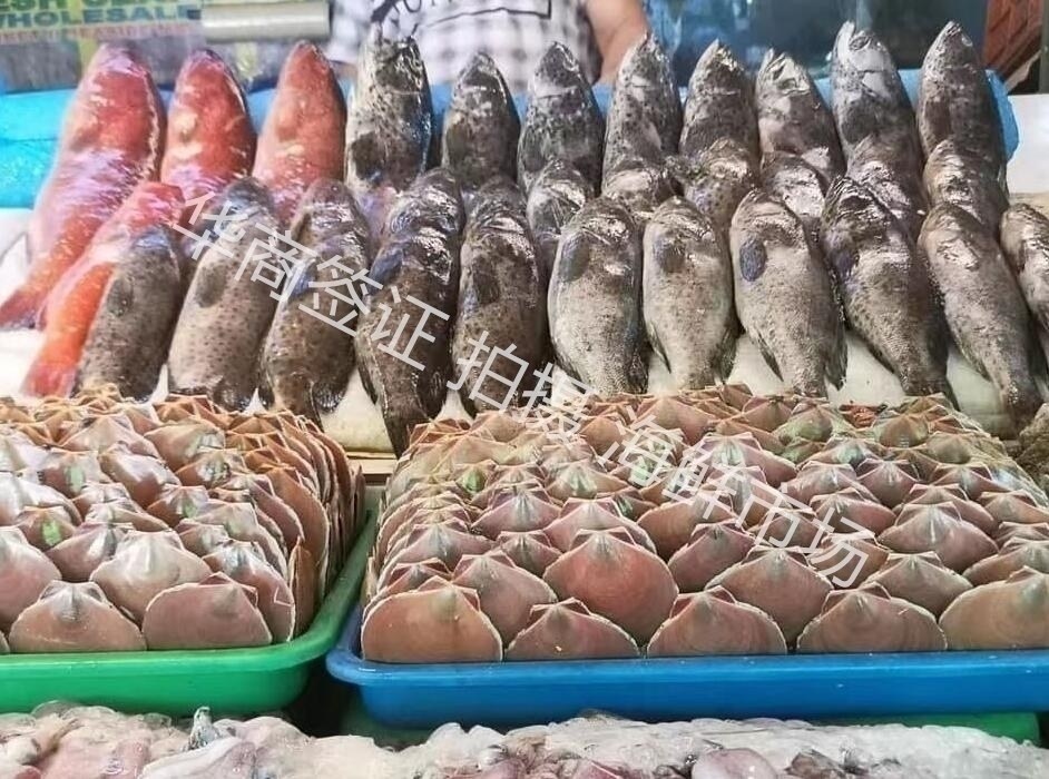 马尼拉海鲜市场卖海鱼.jpg