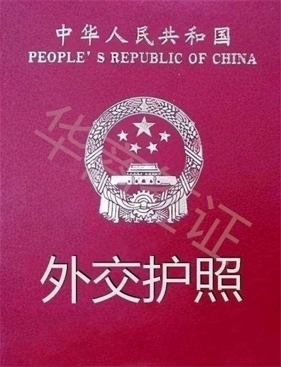 外交护照入境免签.jpg