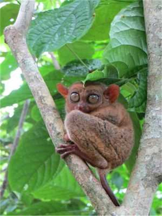 ad38b0c54496aeb3034eb498f800d525_t012951e17217877d79.jpg ad38b0c54496aeb3034eb498f800d525_t012951e17217877d79.jpg