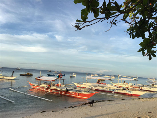 菲律宾薄荷岛导游旅游风景推荐（薄荷岛需要签证吗）