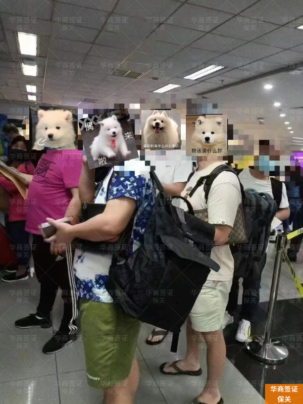 华商保关 (31).jpg